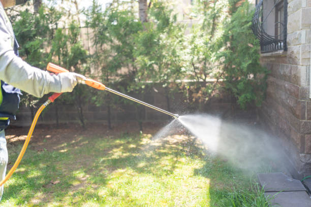 Best Organic or Eco-Friendly Pest Control  in Oak Grove, AL